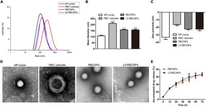 Functionalized Erythrocyte Membrane-Coated Nanoparticles for the Treatment of Klebsiella pneumoniae-Induced Sepsis